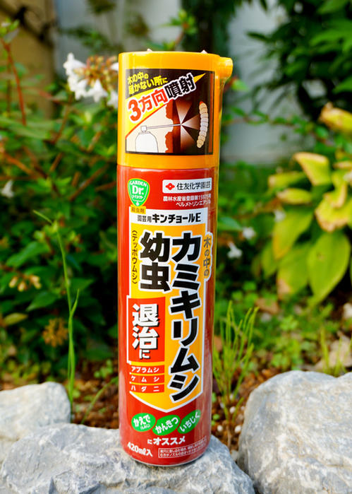 カミキリ虫が出てきたらどうすればいい 適切な駆除の方法から予防法までご紹介 暮らし の