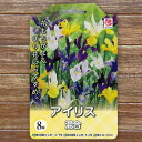 【球根】 アイリス 混合 【8球入】 (植え付け時期12月下旬まで) 【予約販売】9月下旬以降入荷予定