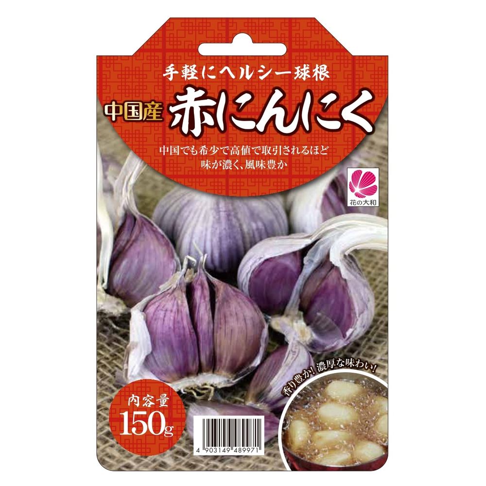 中国産 【赤にんにく】 球根 150g （植え付け時期11月上旬まで）