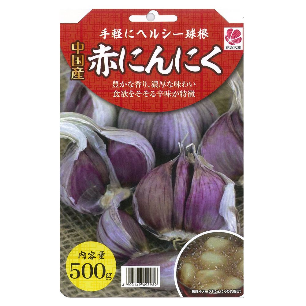 中国産 【赤にんにく】 球根 500g （植え付け時期11月上旬まで） 【予約販売】7月頃下旬発送予定。