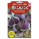 中国産 【赤にんにく】 球根 500g （植え付け時期11月上旬まで）