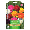 ラナンキュラス 混合 8球入り 球根 (植え付け時期12月下旬まで) 【予約販売】8月下旬以降入荷予定