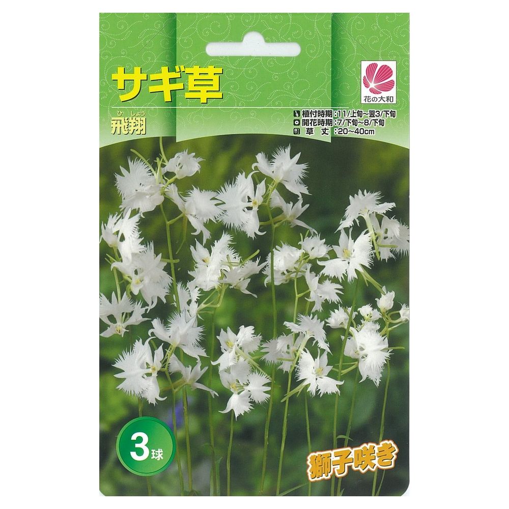 サギソウ 【飛翔】 球根 （3球入） （植え付け時期11月上旬～翌3月下旬） 【予約販売】2月中旬頃入荷予定