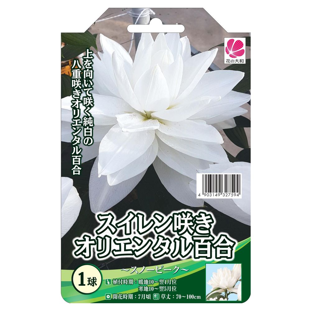ڥ餭ꥨ󥿥ɴ 庬 1 ʿդ5ޤǡ ͽ10ܺͽ