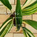 hana-online:10011782のサンプル画像1