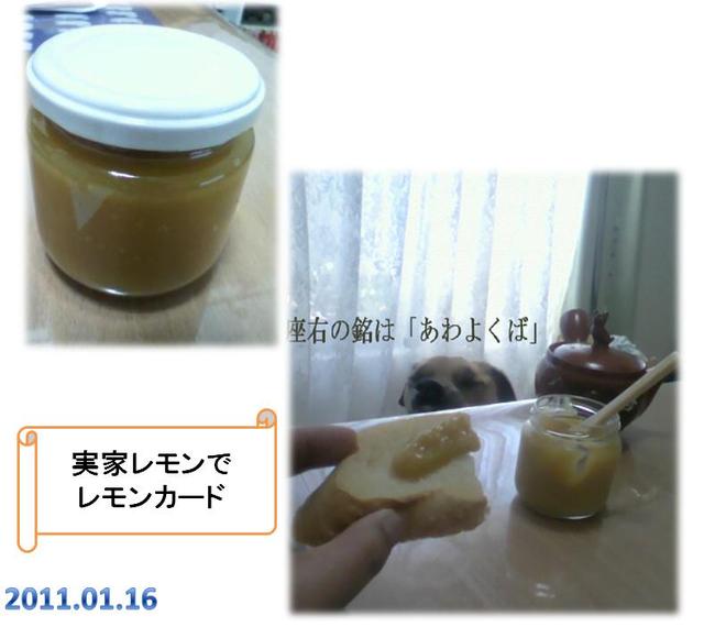 ゆるゆるのはぎっち家に顧問が…！の巻 はぎっちさんのレモン部日記のサムネイル