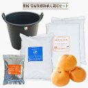 鉢植え栽培セット かんきつ他常緑樹全般 3年生用 ブラックナーセリーポット