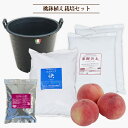 鉢植え栽培セット もも他落葉樹全般用 3年生用 ブラックナーセリーポット