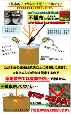 コガネムシの幼虫予防カバー 10号用 (直径29cm） 雑草・ネキリムシの防止不織布 【資材】 【ネコポス対応可能】