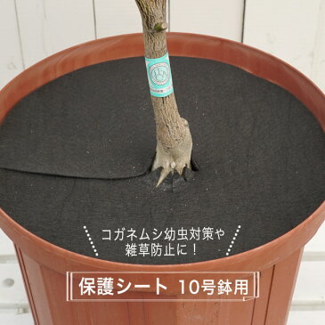 コガネムシの幼虫予防カバー 10号用 (直径29cm） 雑草・ネキリムシの防止不織布 【資材】 【ネコポス対応可能】