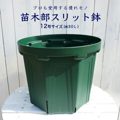 https://thumbnail.image.rakuten.co.jp/@0_mall/hana-online/cabinet/shizai/suritto12gou2.jpg
