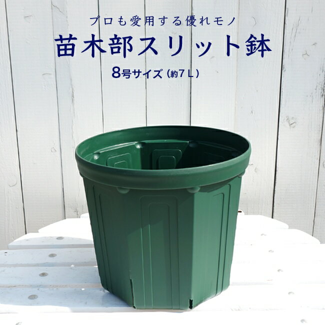 苗木部スリット鉢（8号・24cm） 緑・モスグリーン プラ鉢