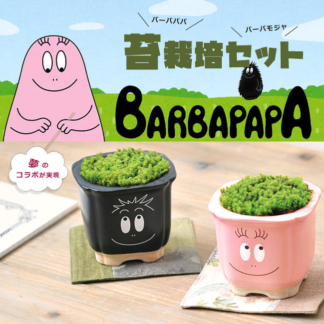 バーバパパの苔栽培セット ( コケ ) インテリアプランツ コケ玉 観葉植物