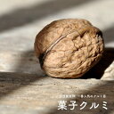 くるみの木の苗 【菓子クルミ】 1年生苗