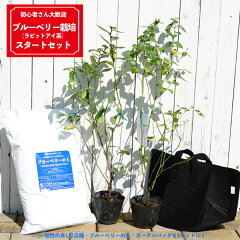 https://thumbnail.image.rakuten.co.jp/@0_mall/hana-online/cabinet/sonota3/bb-start-set01.jpg