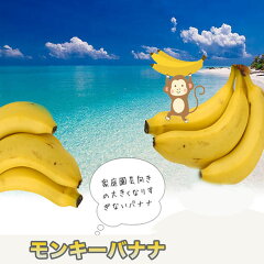 https://thumbnail.image.rakuten.co.jp/@0_mall/hana-online/cabinet/sonota5/monkibanana.jpg