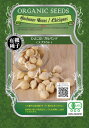 【有機種子】 ひよこ豆/ガルバンゾ スプラウト Sサイズ 25g(約60粒) 種蒔時期 周年