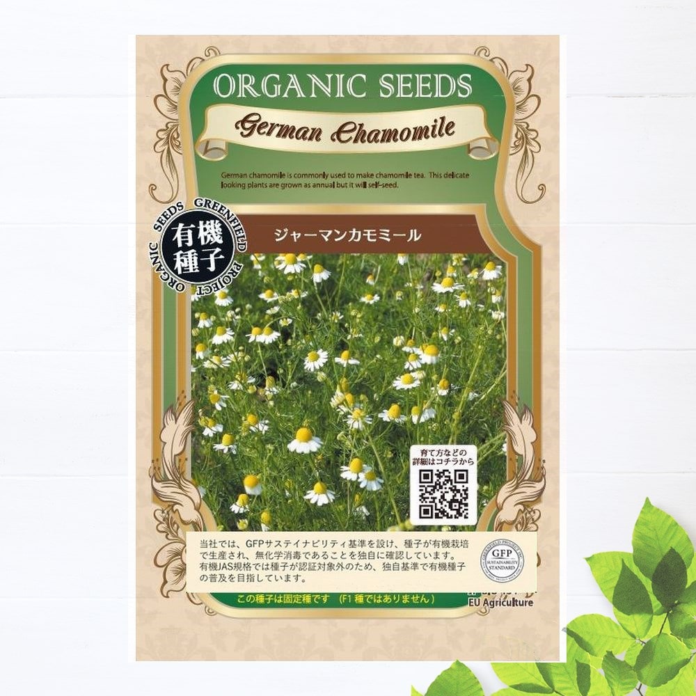 【有機種子】 ジャーマンカモミール Sサイズ 0.25g 種蒔時期 3～5月、9～10月