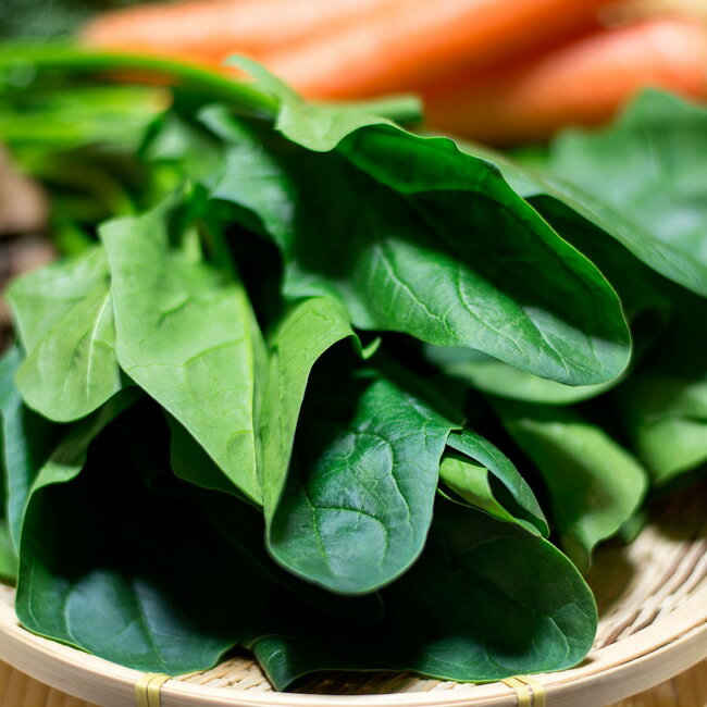 ウニホーレン は広島自慢のご当地グルメ 家で簡単に作れるレシピは Jouer ジュエ ウニホーレン は広島自慢のご当地グルメ 家で簡単に作れるレシピは Jouer ジュエ