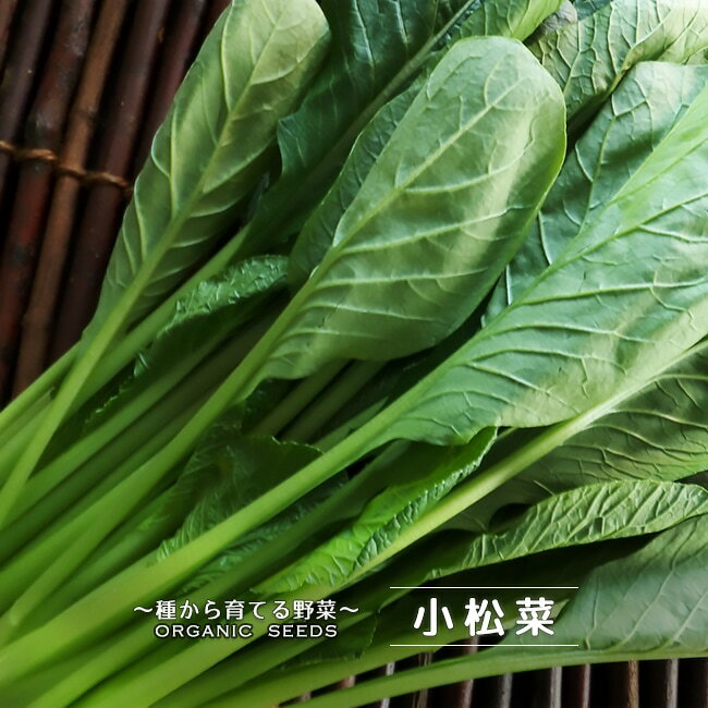 【有機種子】 小松菜 Sサイズ 1g 種蒔時期 3～10月