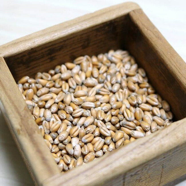 ��ͭ����ҡ� �ͤ��� ���� S������ 25g �Ｌ���� ��ǯ