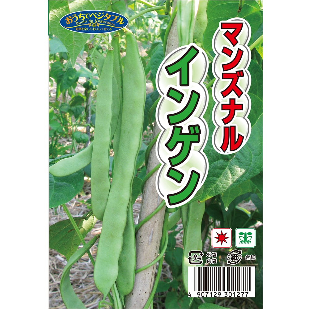 つるあり 【マンズナルインゲン】 約50ml （種蒔時期 3月～9月）