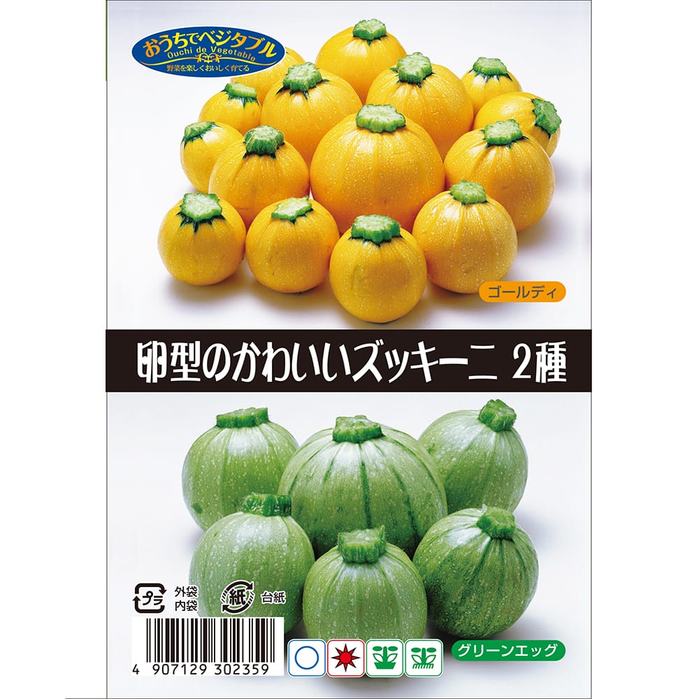 卵型のかわいいズッキーニ 2種2袋 各約5粒 （種蒔時期 3月～5月）