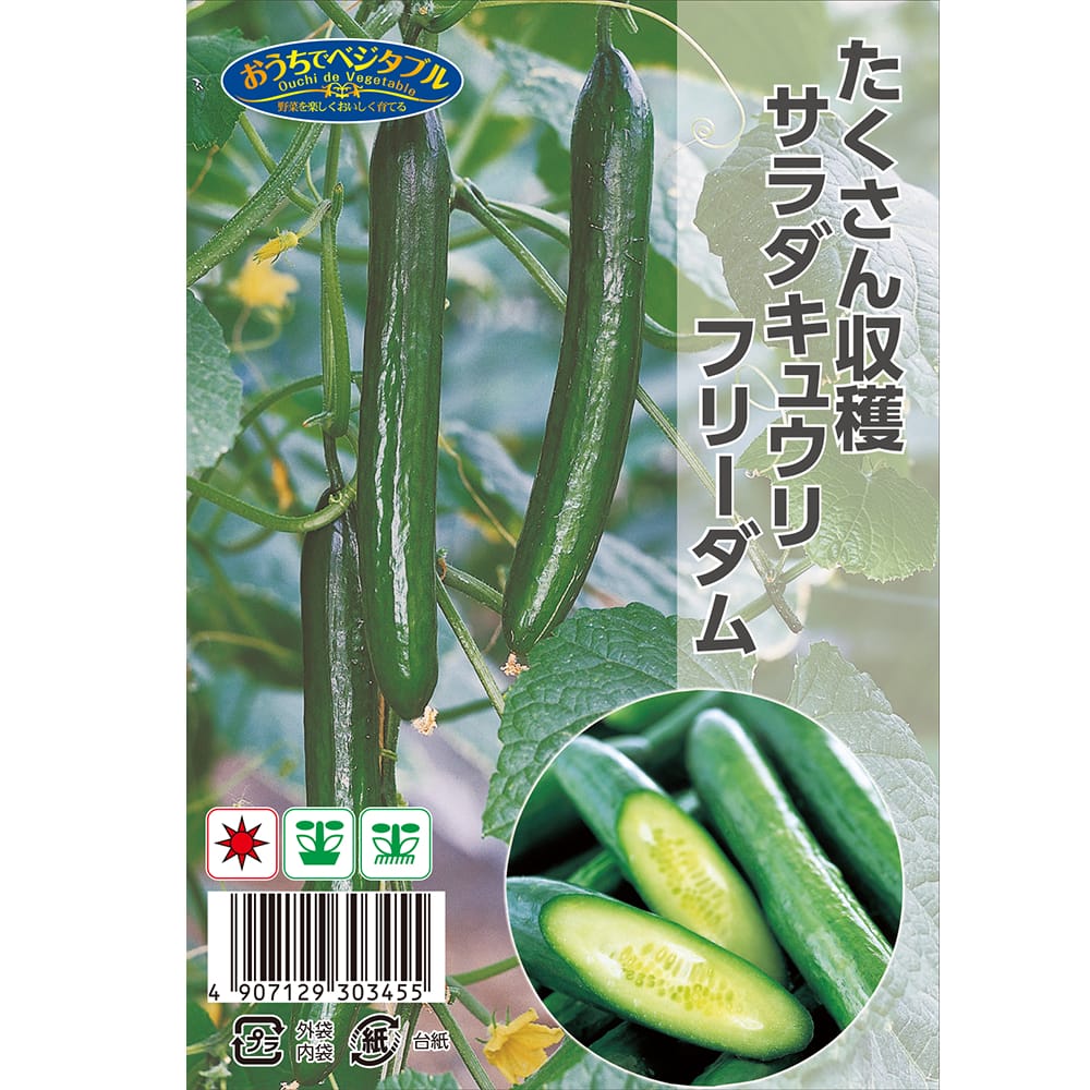 サラダきゅうり 【フリーダム】 約8粒 （種蒔時期 4月～6月）