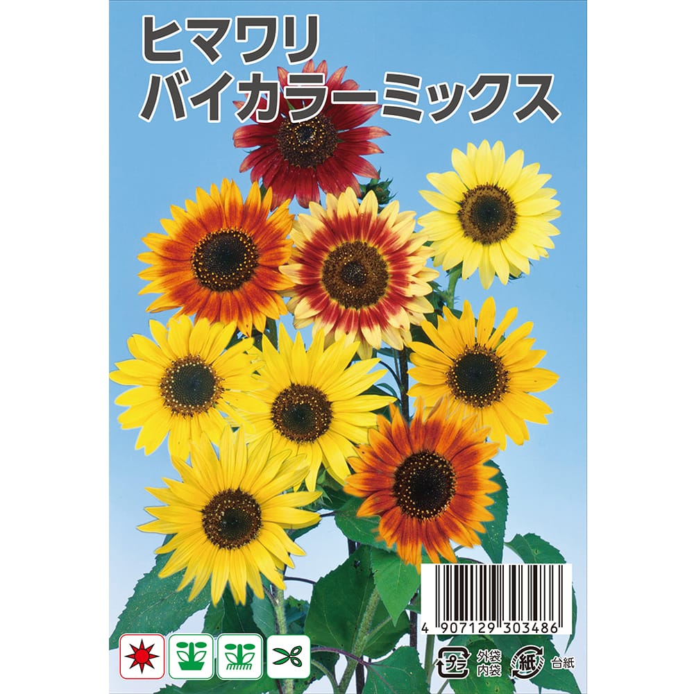 ひまわり 【バイカラーミックス】 種 約50粒 (種蒔時期 4月~6月)