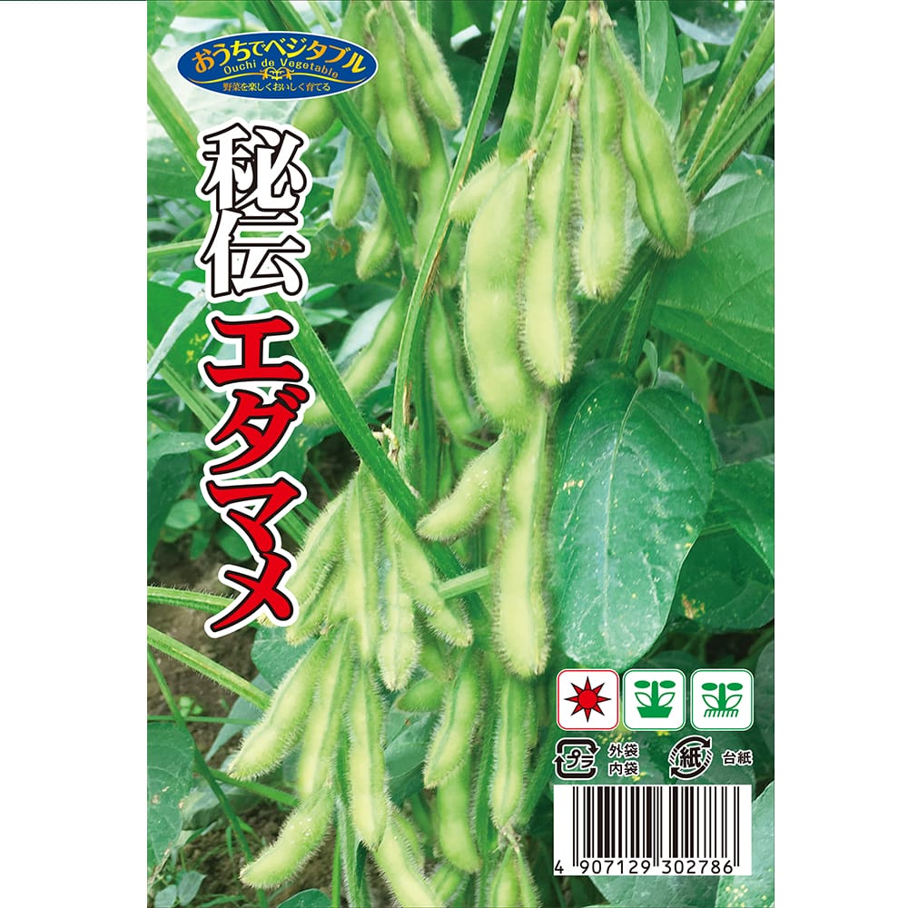 秘伝エダマメ 1袋 約30ml （種蒔時期 6月）