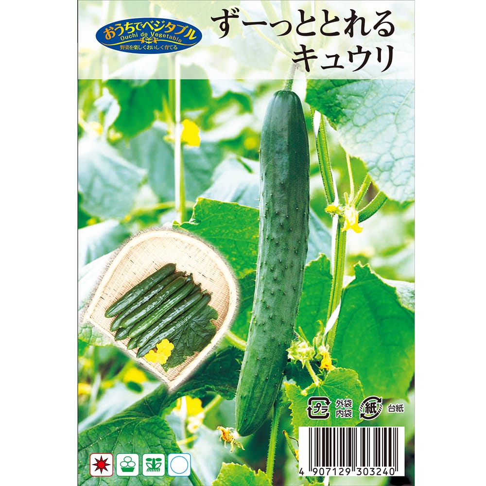 きゅうり 【ず～っととれるキュウリ】 約8粒 （種蒔時期 4月下旬～6月）