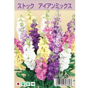 ストック 【アイアンミックス】 約30粒 (種蒔時期 7月〜10月)