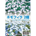 ネモフィラ 2種 【インシグニスブルー&マキュラータ】 各約50粒 (種蒔時期 9月〜10月)
