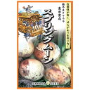 超極早生たまねぎ品種 【 スプリングムーン 】 種・小袋 (3g) (種蒔時期 9月〜10月)