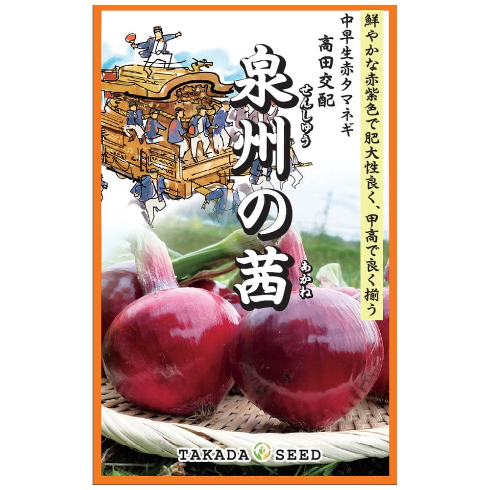中早生赤たまねぎ品種 【 泉州の茜 】 種・小袋 （3g） （種蒔時期 9月～10月）