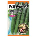 【F1夏きゅうり】 種・小袋 (2ml)
