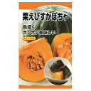 カボチャ 【タキイ交配 栗えびすかぼちゃ】 種・小袋 (10粒) F1(一代交配種)