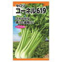 セロリ 【コーネル619】 種 （1ml） 固定種