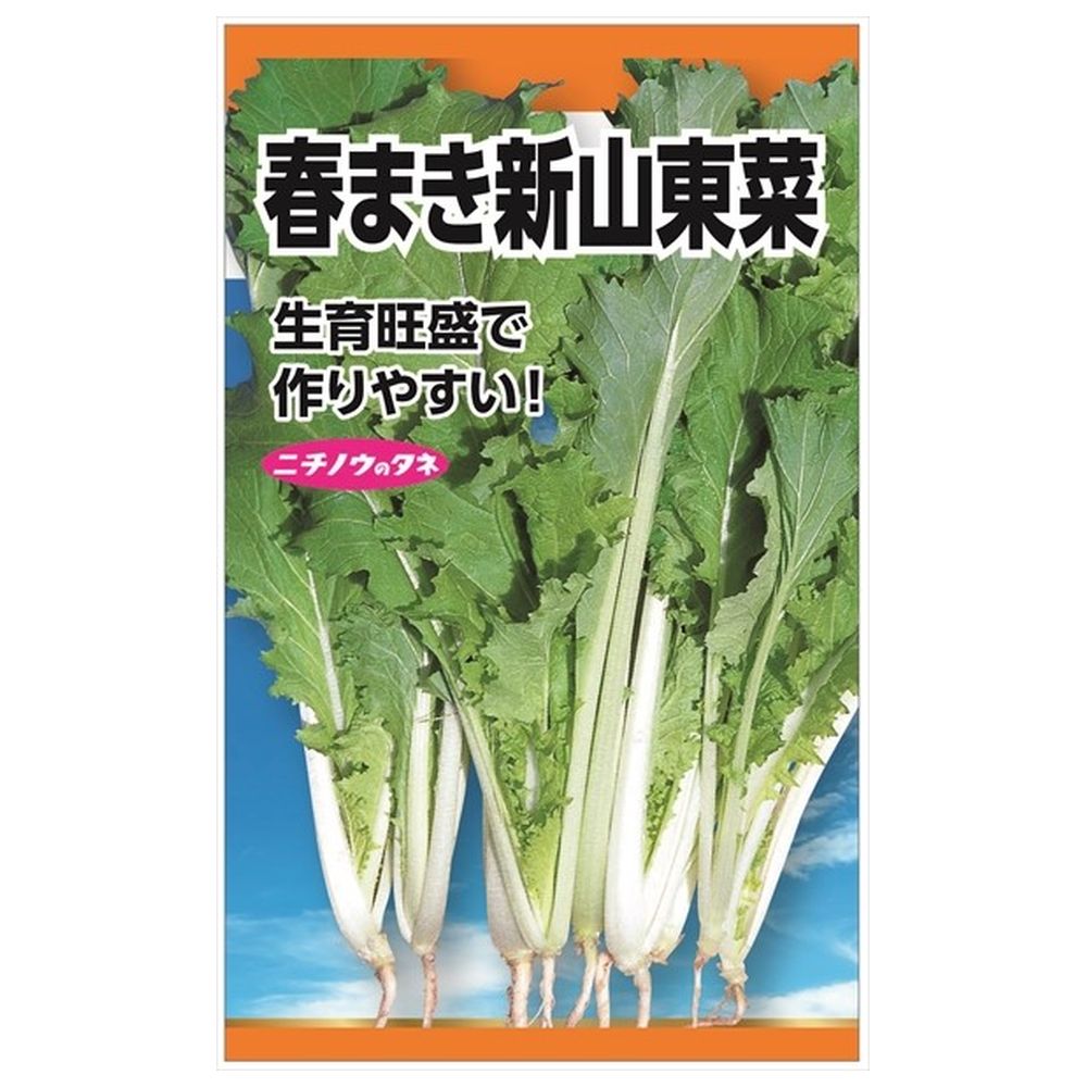 【春まき新山東菜】 種・小袋 （6ml） 固定種