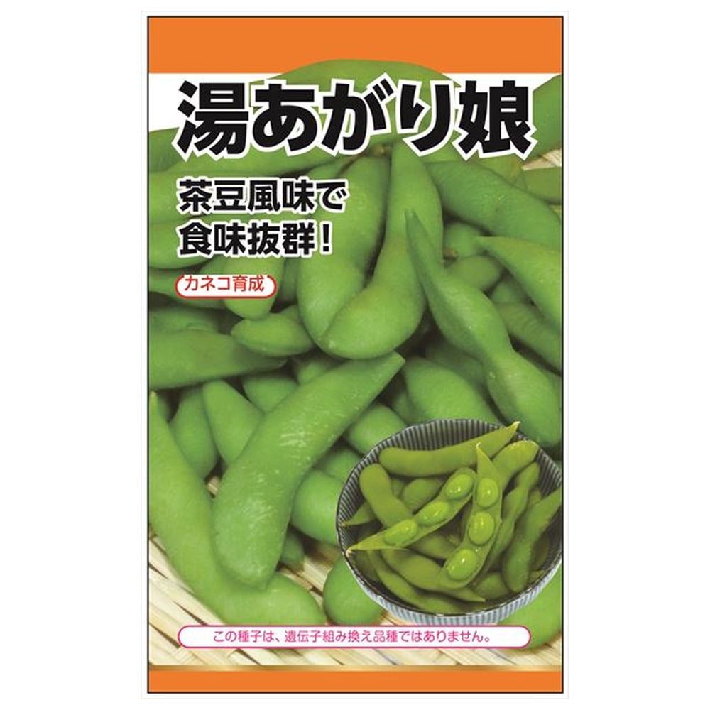 枝豆 【湯あがり娘】 種・小袋 （40粒） 選抜採種育成種のサムネイル