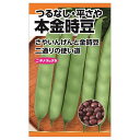 いんげん 【本金時豆】 種・小袋 (20ml) 固定種