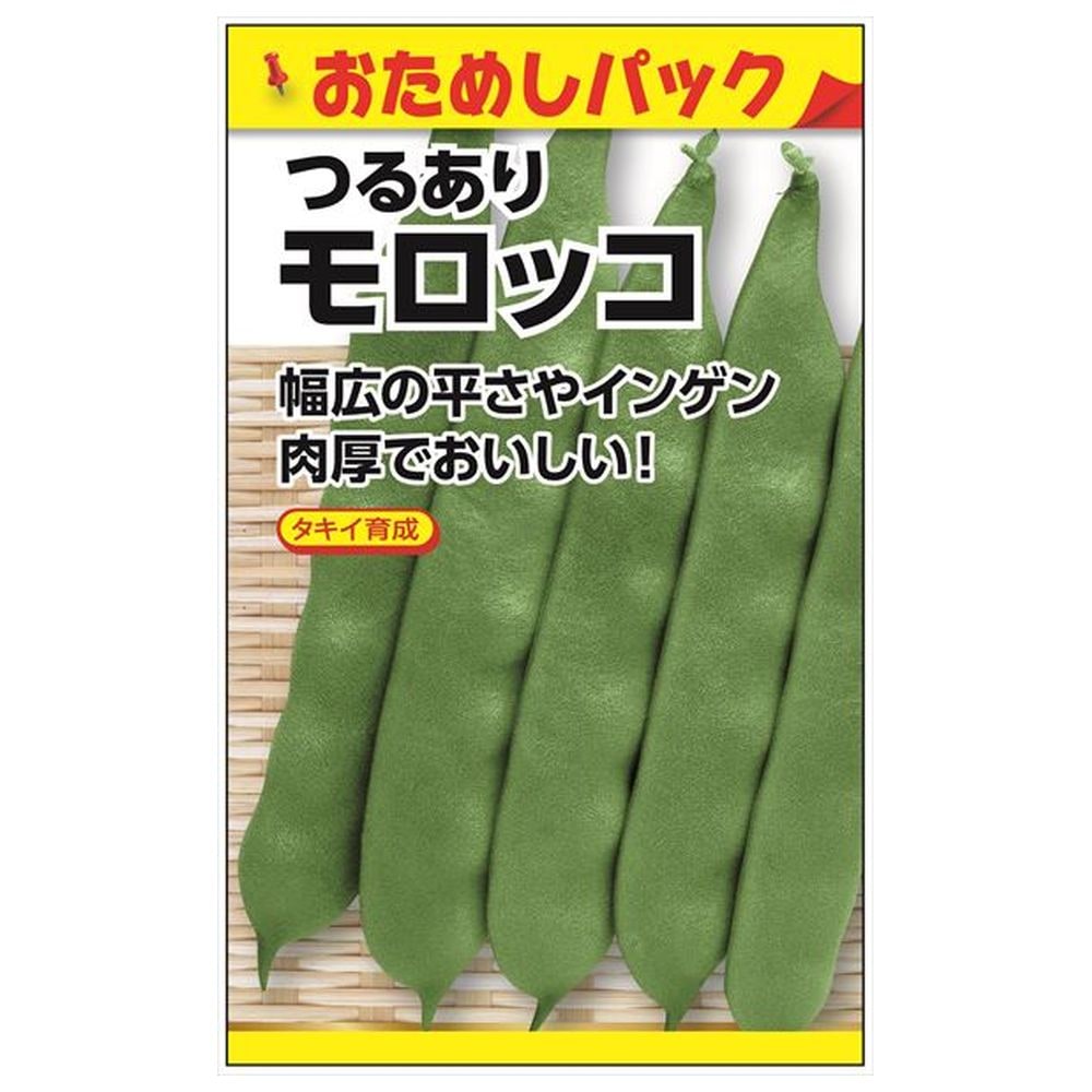 いんげん 【つるありモロッコ(おためしパック)】 種・小袋 （6粒） 選抜採種育成種