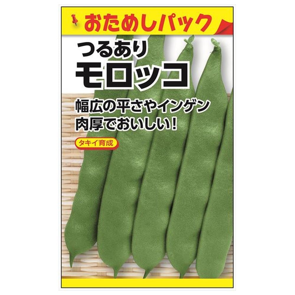 いんげん 【つるありモロッコ(おためしパック)】 種・小袋 （6粒） 選抜採種育成種のサムネイル