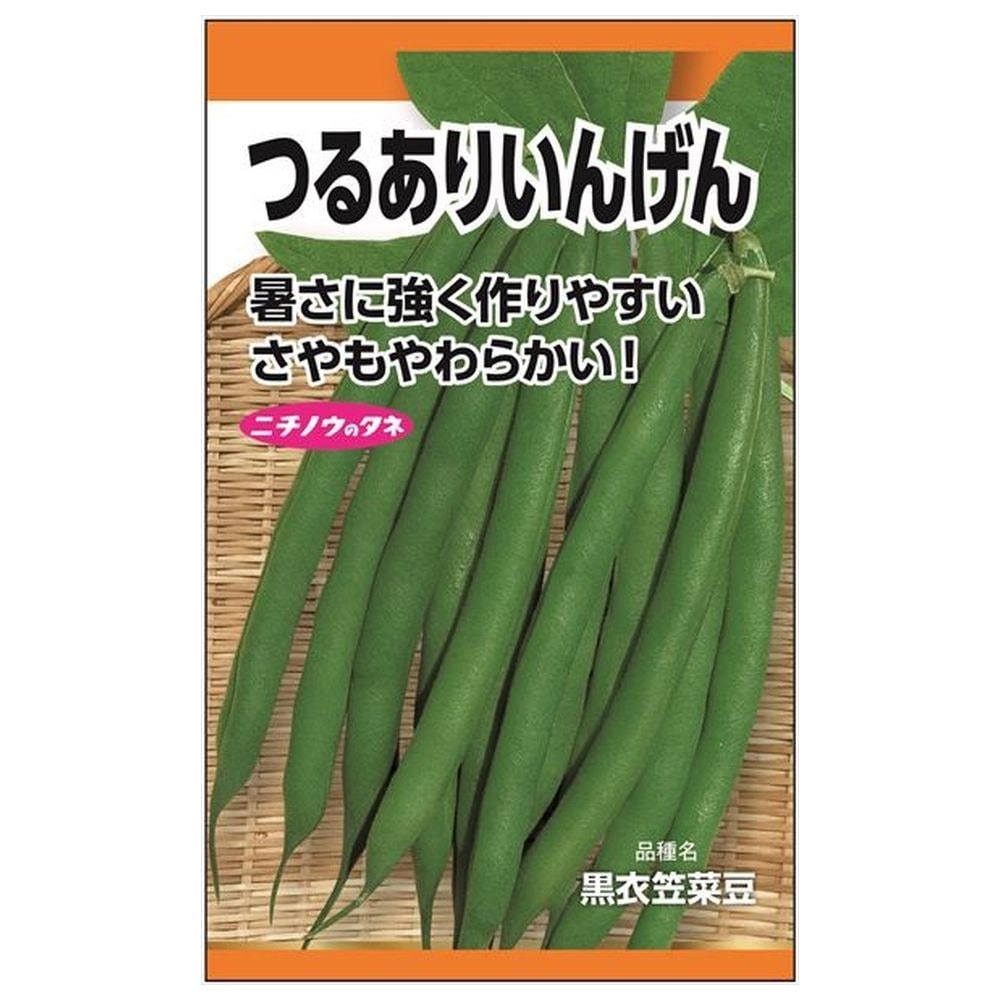 いんげん 【つるありいんげん（衣笠）】 種・小袋 （45粒） 固定種