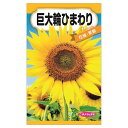 【巨大輪ひまわり】 種・小袋 (8ml) 固定種