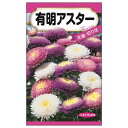 【有明アスター】 種・小袋 (0.4ml) 固定種