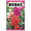【椿咲鳳仙花 (八重咲きホウセンカ)】 種・小袋 (1ml) 固定種 211円