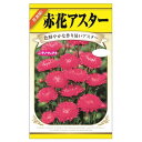 【赤花アスター】 種・小袋 (0.5ml) 固定種