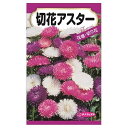 【切花アスター】 種・小袋 (0.8ml) 固定種