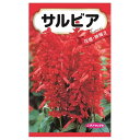 【サルビア】 種・小袋 (0.5ml) 固定種